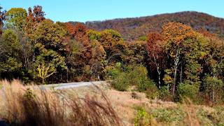 Exploring Arkansas: Cook Off / Pig Trail  / Black Fork / Grand Prairie Museum | Episode 1302