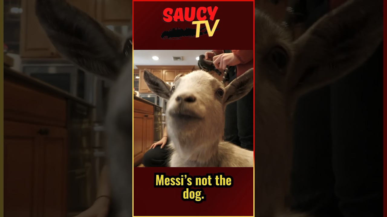 Mom Can’t Handle Messi The GOAT In Her House
