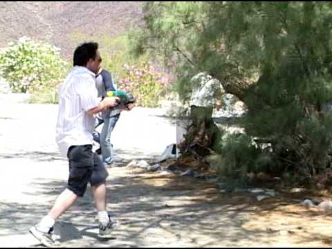 Ambushing Asians