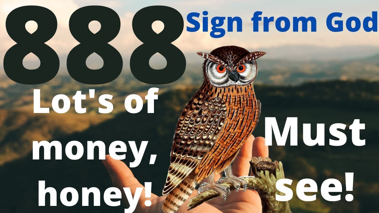 Law of attraction quotes | secret quotes law of attraction | motivational quotes law of attraction