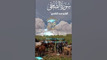 تلاوة خاشعة عطرة مباركة جميلة عذبة للشيخ سعد الغامدي سورة الضحى