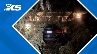 Crews and citizens working to clear trees from roads and homes