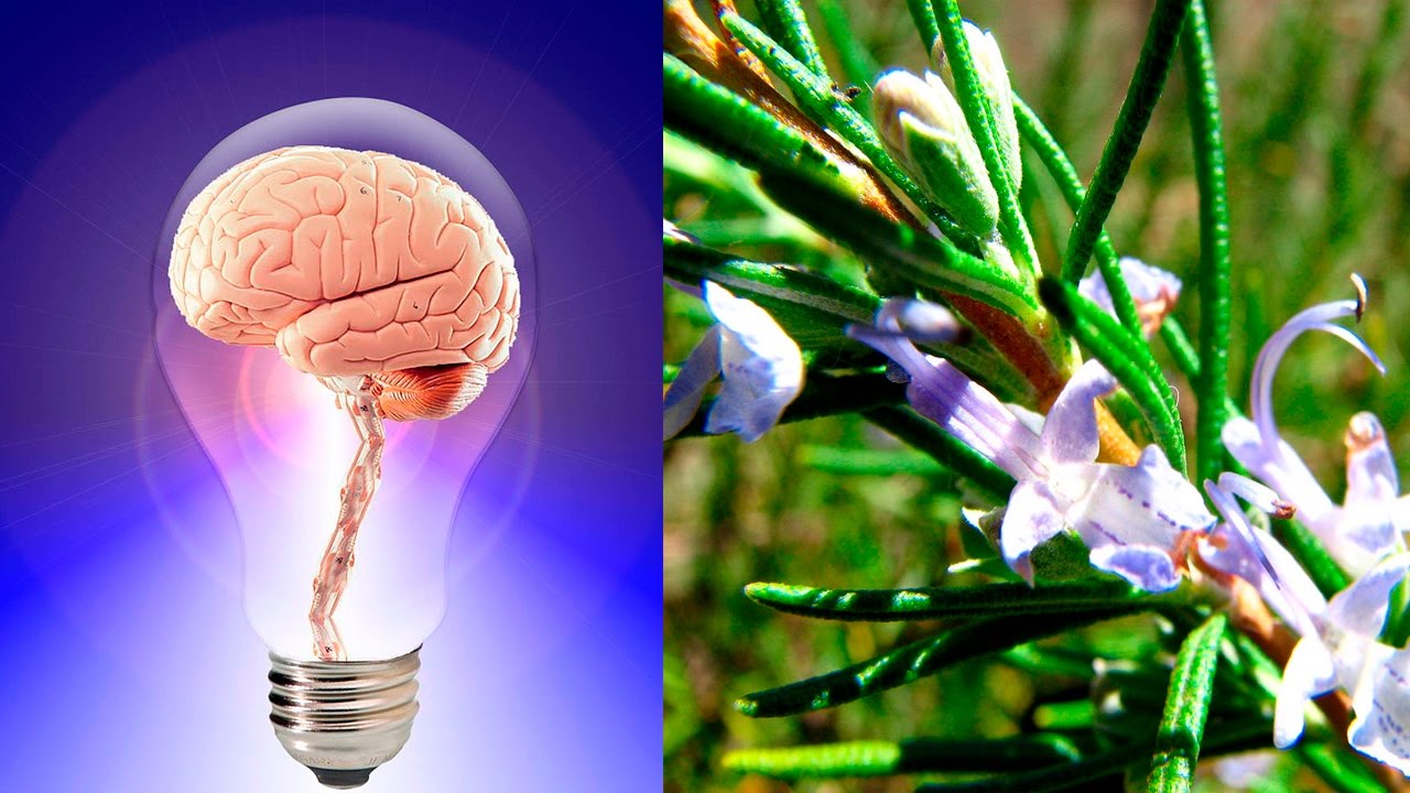 Remedios caseros y medicina naturales para oxigenar el cerebro