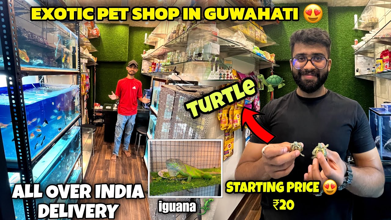 Exotic Pet Shop in Guwahati Animals Birds Turtles & More Maria