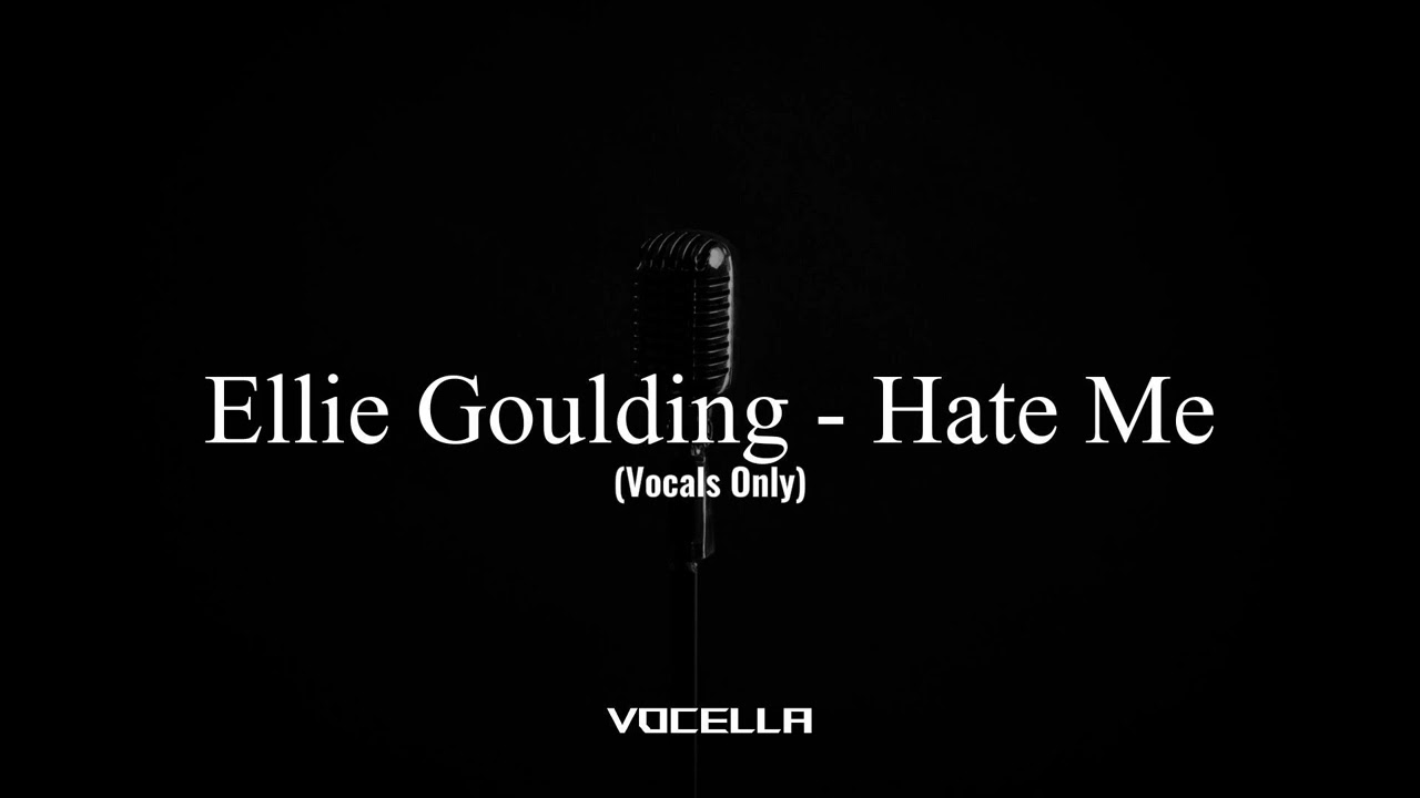 Ellie Goulding - Hate Me (Acapella/Vocals Only)