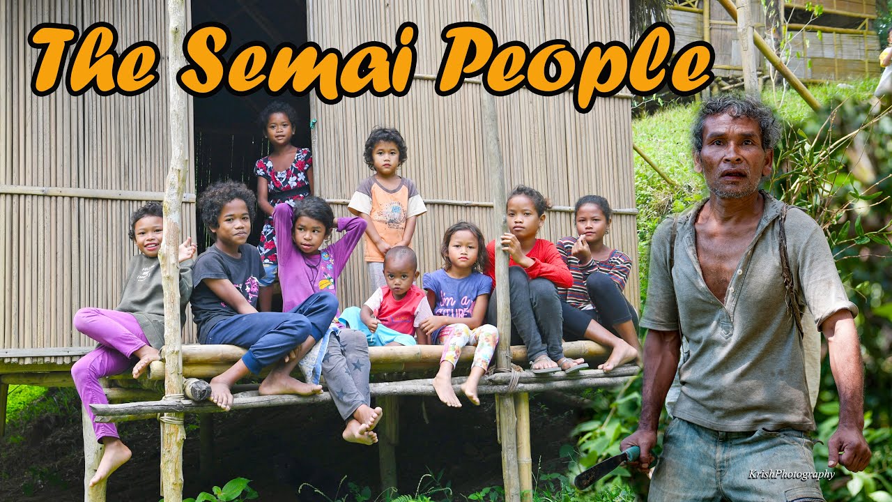 The Life of Semai People in Cameron Highland / Gaya Hidup Orang Asli Semai di Cameron Highlands