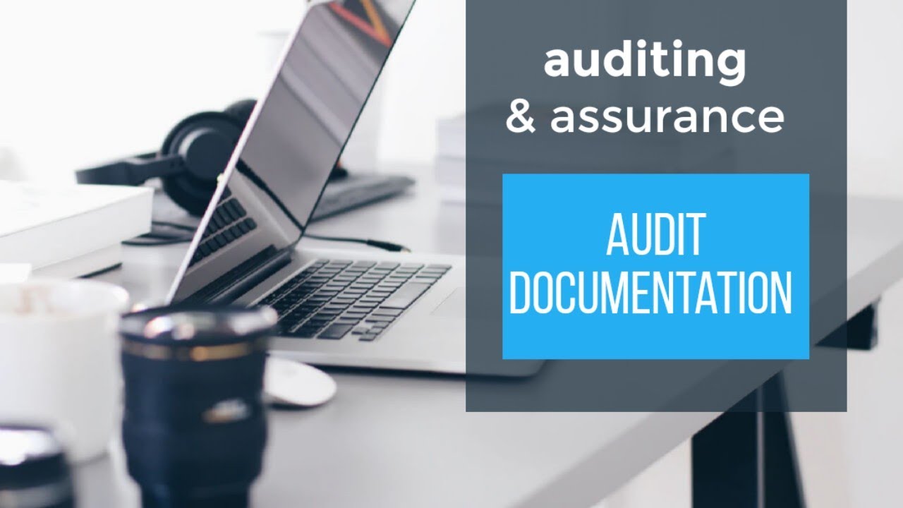 AUDIT DOCUMENTATION :  SA 230 ( REVISED )