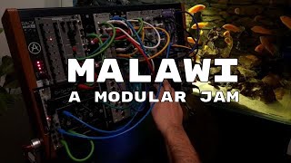 Malawi - a Live Modular Jam