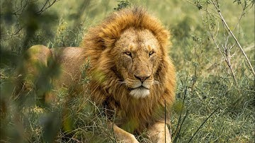 The Psychology of Motivation: Why You Can’t Stay Consistent (And How to Fix it)