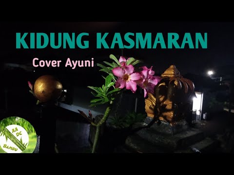 KIDUNG KASMARAN ( YONG SAGITA) - COVER Aadc Bambu