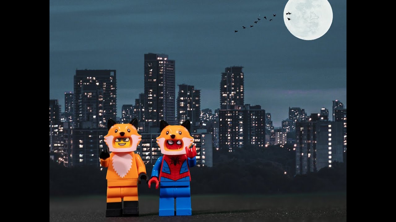 Du kennst dich mit Netzen aus?