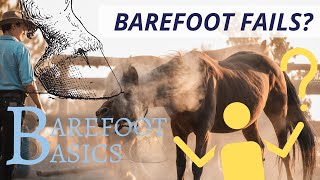 WHY BAREFOOT HORSE KEEPING FAILS