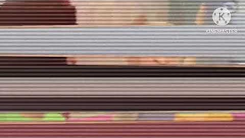 12/31/24 Plotagon Shutdown experience