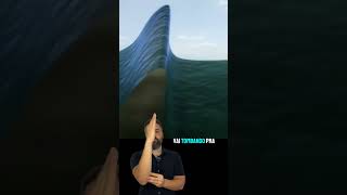 🌊 Why do ocean waves break when they get close to the beach?