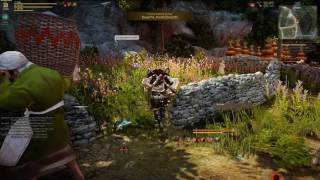 Bring Logs Quest Black Desert Online
