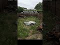 Ich wollte wieder stolz auf unseren Garten sein – Gardly App