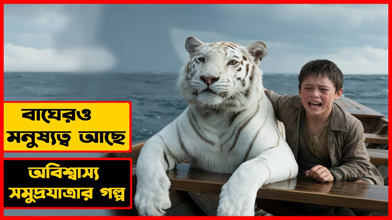২২৭ দিন এক বাঘ আর এক ছেলের টিকে থাকার লড়াই 🐯🔥 Life of Pi Movie Explained in Bangla ।সিনেমন বাংলা