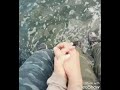 بهل سهولة تغيب عني ايوب العلي
