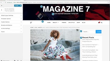 Magazine 7 - Clean & Elegant WordPress Theme - Customizer Settings