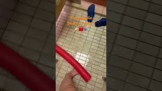 Noodle Strikes Again! #visionimpaired #funny #blind #lowvision #rp