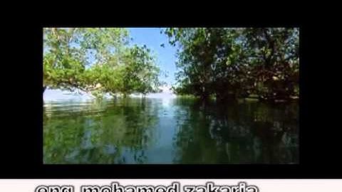 القارىء المهندس محمد زكريا سورة الرحمن
