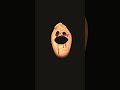 maow #trending #funny #phonk