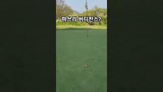 이거 성공시킬 확률이 얼마일까요? #버디찬스