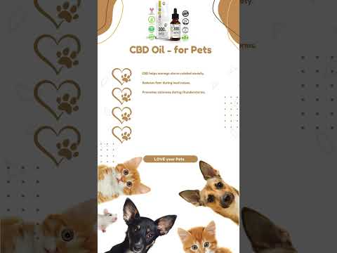 Choosing the Right CBD Oil: What to Look For