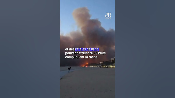 Incendies à Los Angeles : au moins deux morts et de nombreux blessés graves