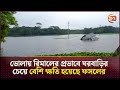 ভোলায় রিমালের প্রভাবে ঘরবাড়ির চেয়ে বেশি ক্ষতি হয়েছে ফসলের  | Cyclone Remal | Cyclone | Channel 24