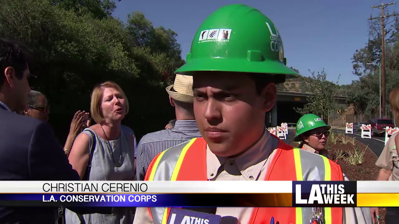 Elysian Valley Project