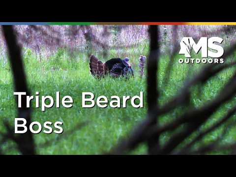 Mississippi Wild Turkey Hunt – Chasing One of the Toughest Birds in the Woods