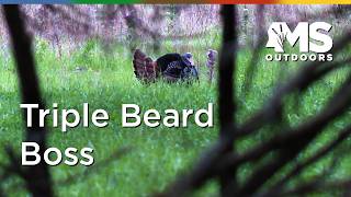 Mississippi Wild Turkey Hunt – Chasing One of the Toughest Birds in the Woods screenshot 5