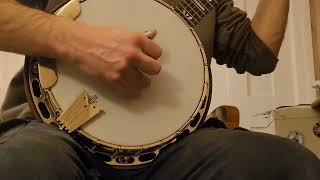 Custom Banjo With Wood Tone Ring