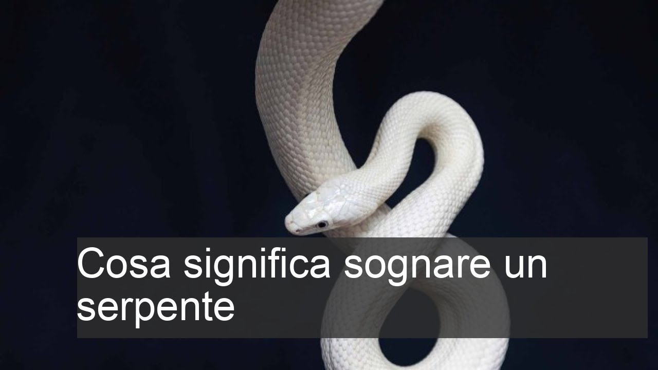 Cosa significa sognare un serpente - YouTube