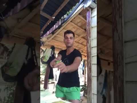 Los Cubanos bailan, cantan y comen fruta en el campo la vida es mejor