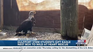 Gulfport High STEM students construct eagle nest box for Wild at Heart Rescue