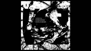 Archivone - Strange Synthesis Blt017