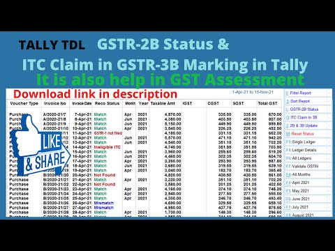 Tally TDL for GSTR-2B Status & ITC claim in GSTR-3B Marking in Tally in Hindi