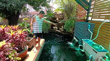 พี่หมอใหญ่ ซามูไร Thailand - งานล้างตู้ปลา 84/2 ชั้น + ล้างกรองบ่อปลาคาร์พ 3 ชุด สลับย้ายปลา Set 1