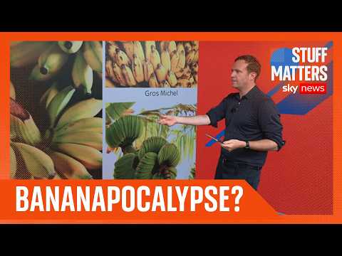 Is this the end for the World's favourite fruit?