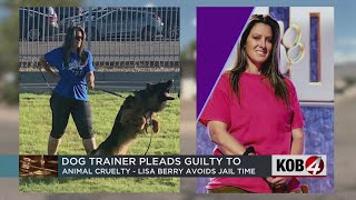 Albuquerque dog trainer pleads guilty to 15 charges of animal cruelty