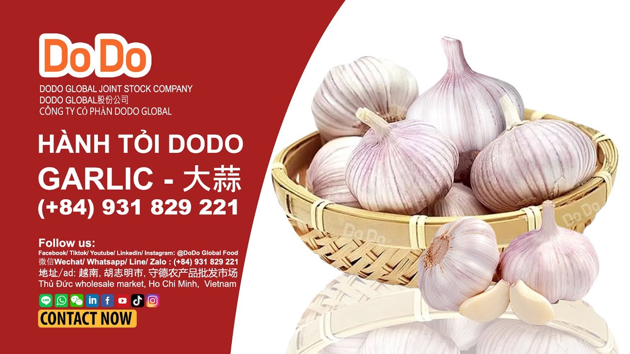 中国大蒜- Chinese Garlic | DODO FOOD