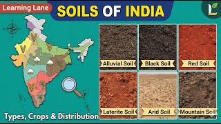 Soils Of India Explained Types, Features & Crops