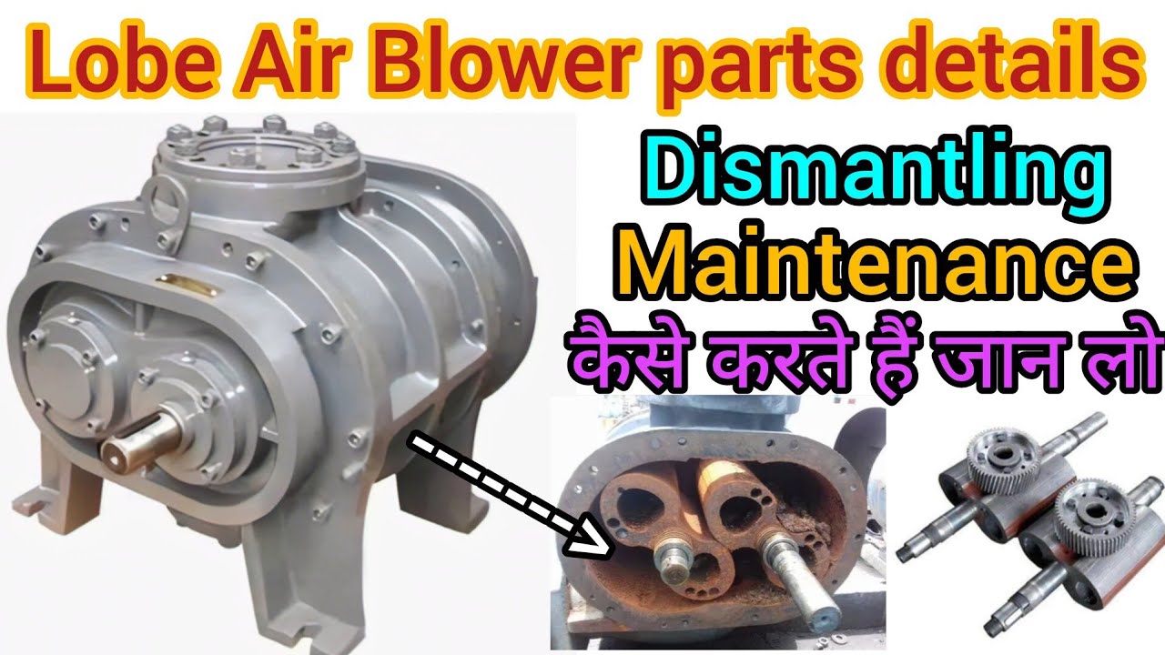 Lobe Air Blower in Hindi | Root Blower in Hindi | Lobe Blower working ...