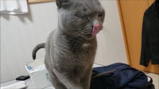 もみ祭り～♪  もみもみまっつぅり～♪