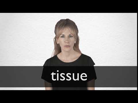 Hindi Translation Of Tissue Collins English Hindi Dictionary