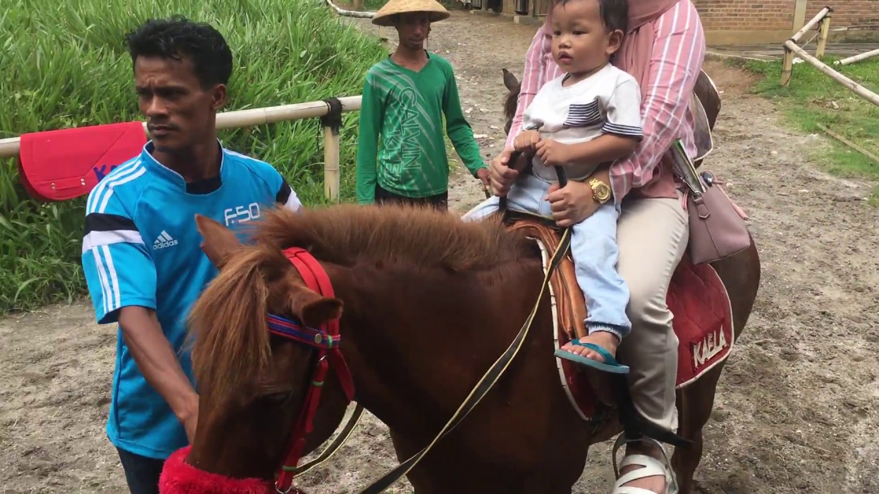Naik Kuda di Bogor Kuntum Farmfield Nurseries 