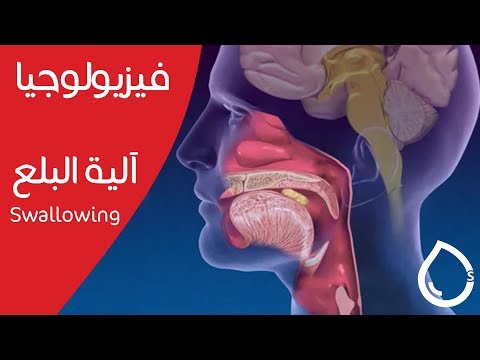 آلية البلع - Swallowing