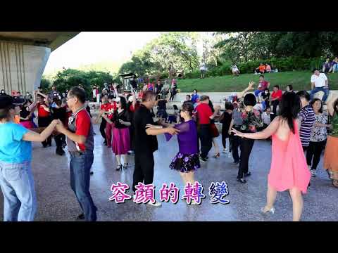 多少柔情多少淚+戀曲 1990 卡拉ok  竹坑登山步道口龍樂團演奏vs社交舞蹈